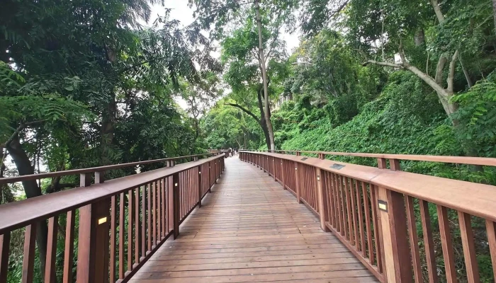 Malabar Hills Forest Walk Way - Dadi Sheth Wadi