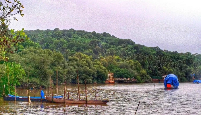 Mapusa River - கோவா