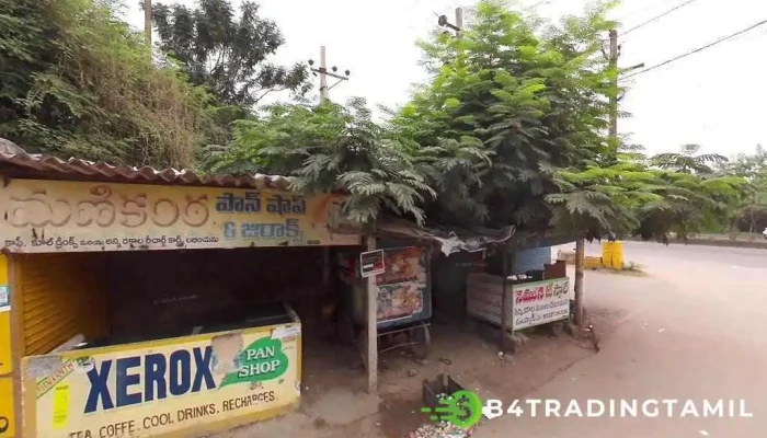 Margadarsi Chit Funds Ramagundam Branch - Shalapally