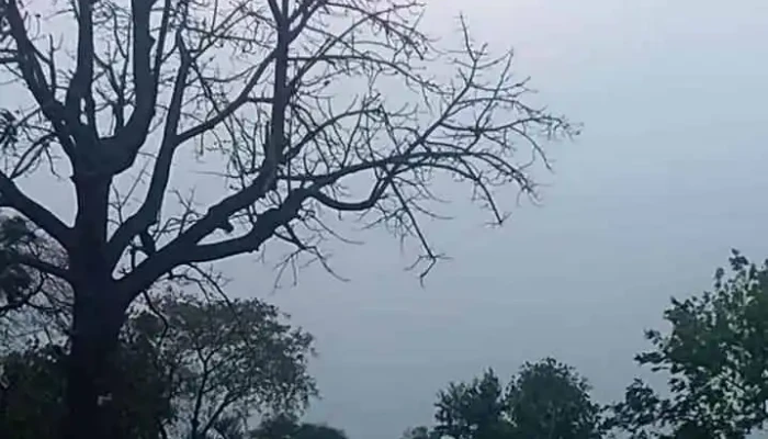 Meehkr Viittiyoo - மேஹ்கர்