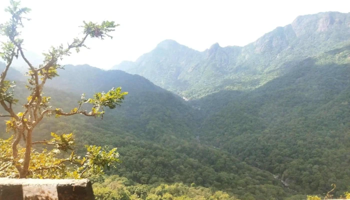 Mount Abu Tourist - Mount Abu