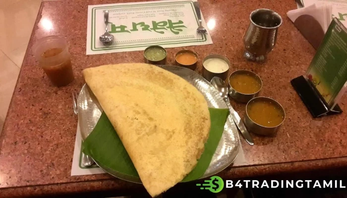 Naiveetym Toocai - Gurugram, குருகிராம்