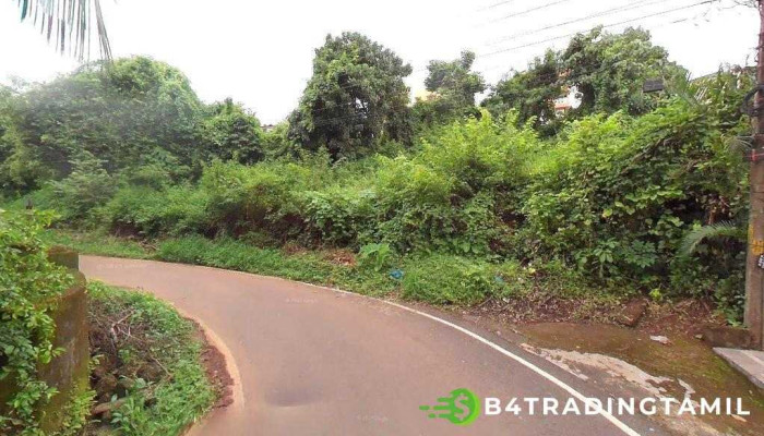 Nakkashi (Wimbley) - Green Valley