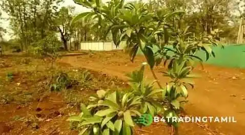 Nehamrit Farms -    Boutique Farmstay At Malshej Ghat Urimaiyaallr - Murbad, Thane