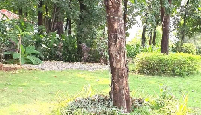 Nehamrit Farms -    Boutique Farmstay At Malshej Ghat Vellippurrm - Murbad, Thane