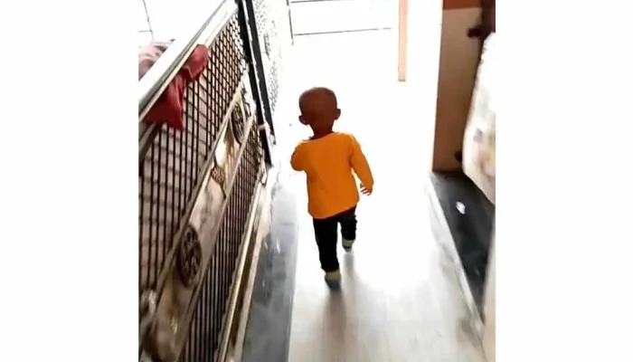 Nnnnkoonnn Viittiyoo - நன்கோன்