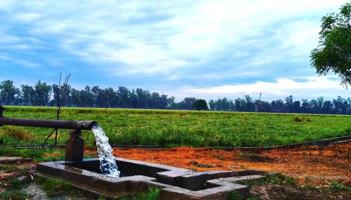 Nnnrri Keemps பதவி உயர்வு - Karnal, கர்னால்