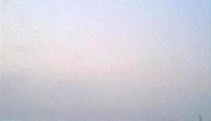 Pttttootti Viittiyoo - Pataudi