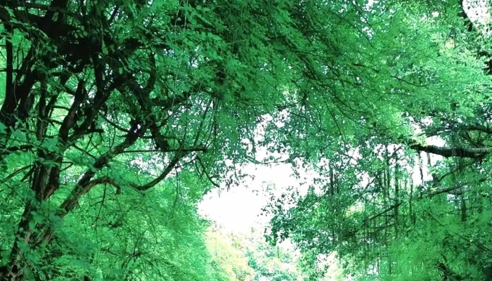 Punnnee Plklaikklllkm தள்ளுபடிகள் - Pune, பூனா