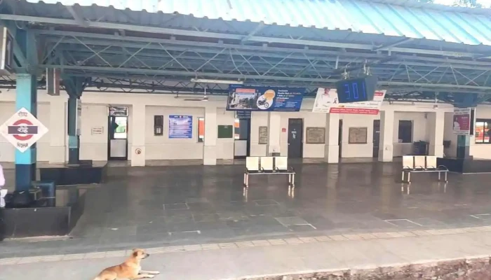 Roohaa Viittiyoo - ரோஹா