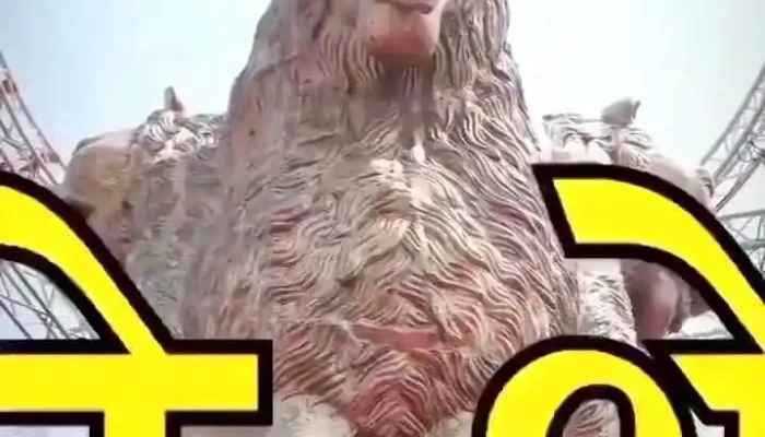 Roohtk Viittiyoo - ஹரியானா