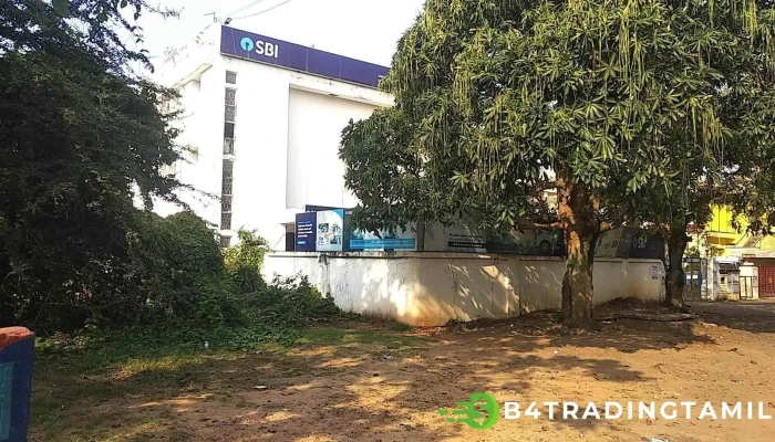 Sbi Paradeep Bazar Branch - Near Iffco Chowk