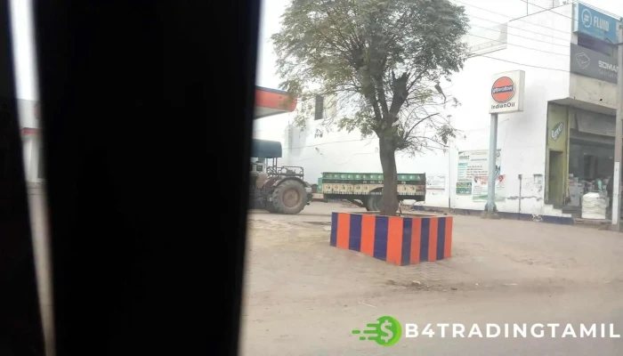 Sbi Sardulgarh Branch - Sardulgarh