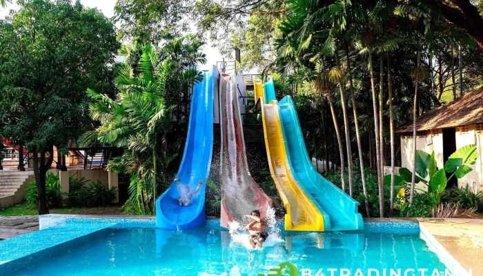 Silent Hills Resort -  Ellaam - Manor, டென்