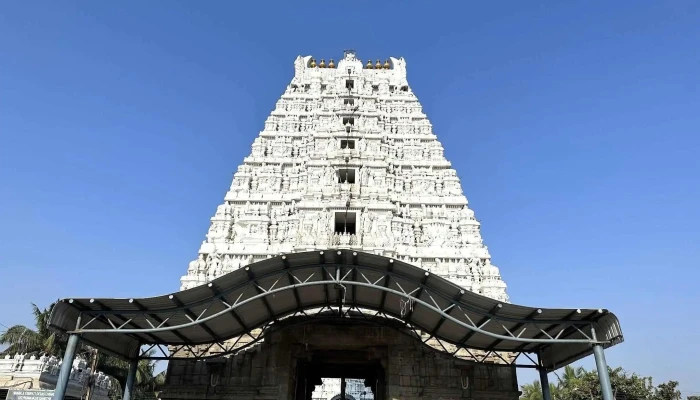 Sri Kalyana Venkateshwara Swamy Temple Narayanavanam - நாராயணவனம்