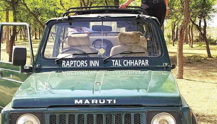 Tal Chappar Blackbuck Sanctuary- safari - Chhapar