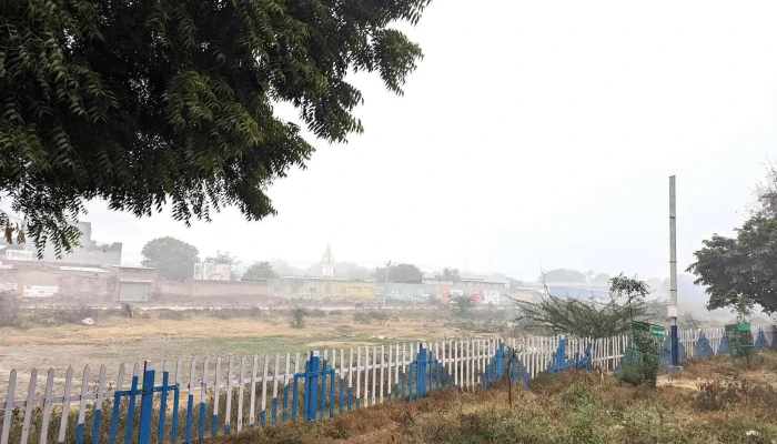 Ttohnnn Ellaam - Tohana, டோஹானா