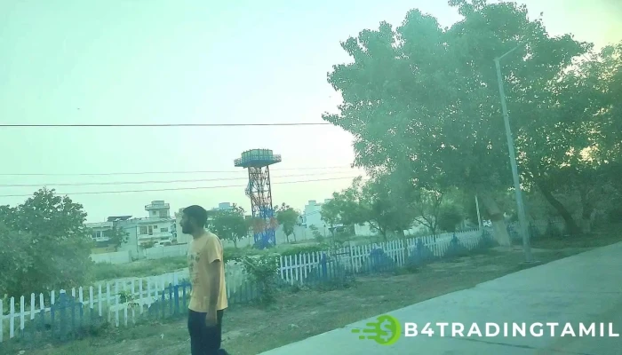 Ttohnnn Viittiyoo - Tohana, டோஹானா