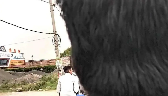 Ttoohaannnaa Viittiyoo - டோஹானா