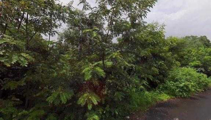 Vngki Aap Intiyaa Street View 360deg - Ahmedpur