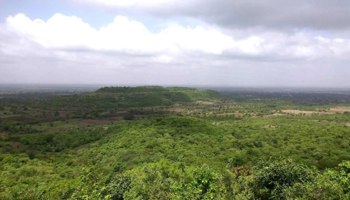 அனந்தகிரி ஹில்ஸ் வீப்பாய் - Godamguda