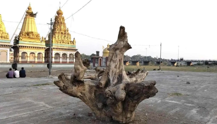 அமல்நேர் - அமல்நேர்