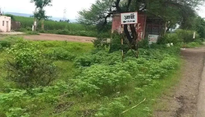 அர்வி - அர்வி