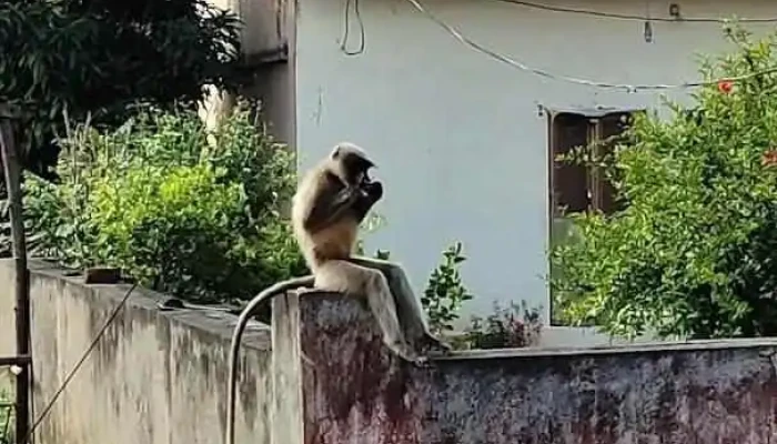 அஷ்ட - அஷ்ட