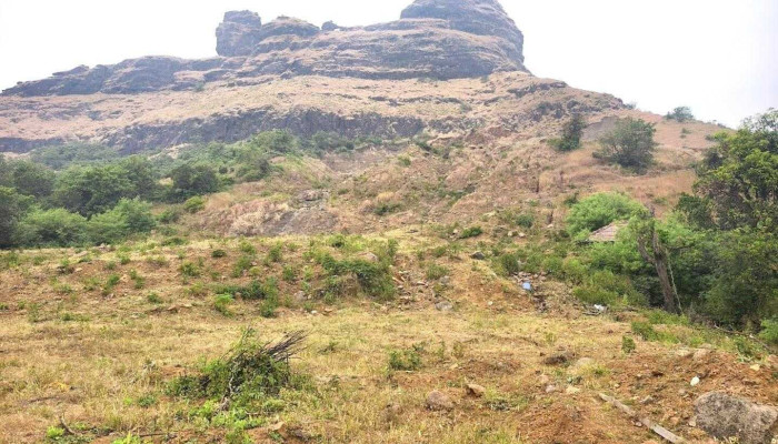 இரசால்காட் போர்ட் - Nadhal, னாதல்