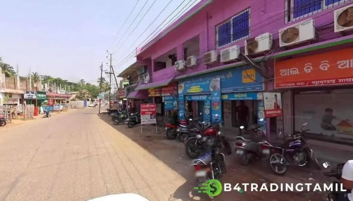 ஐடிபிஐ வங்கி - At/Po Pattamundai