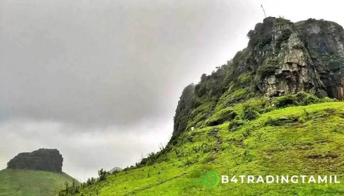 காவனை போர்ட் - Igatpuri, கவனி