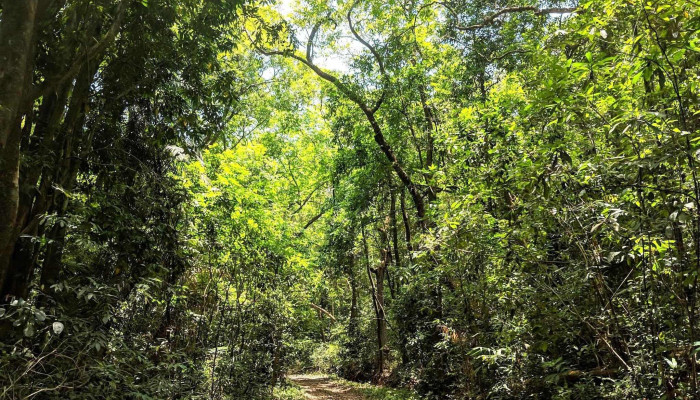 கோசிகோவ் வைல்டுலைஃப் ஸந்க்துவாரி - Canacona Taluka