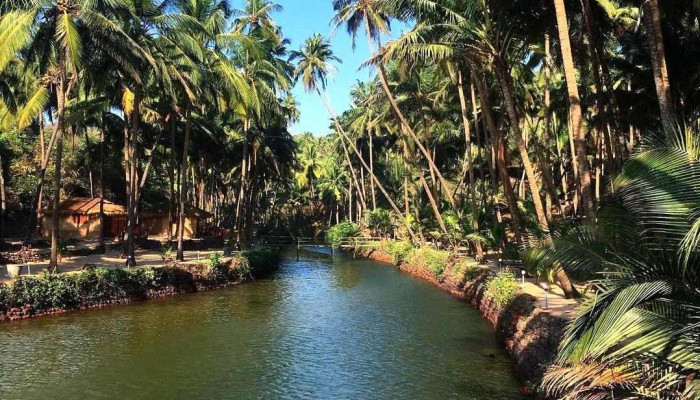 கோலா பீச் - Kola