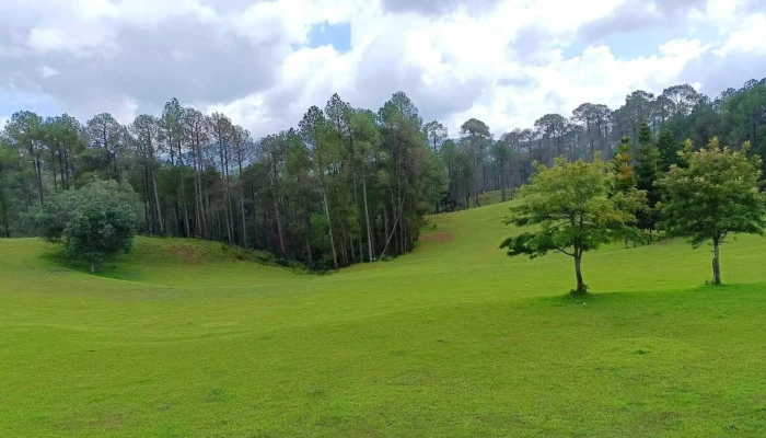 கோல்ஃப் கிரவுண்ட் ராணிக்ஹெட் - Khari Bazar