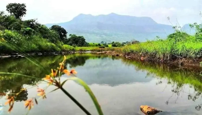 க்ஹோடி - க்ஹோடி புறக்
