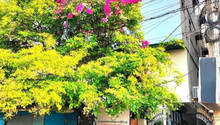 சிஆர் ரெட்டி ஹாஸ்பிடல் - Beside Govt. Hospital