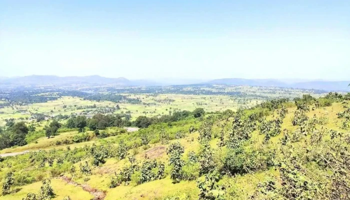 சுர்கானா - சுர்கானா