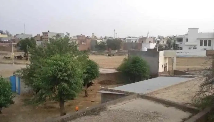 ஜாக்ஹல் - ஜாக்ஹல்