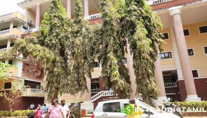 டிபார்ட்மென்ட் ஆப் டூரிஸம் - கோ - Paryatan Bhavan