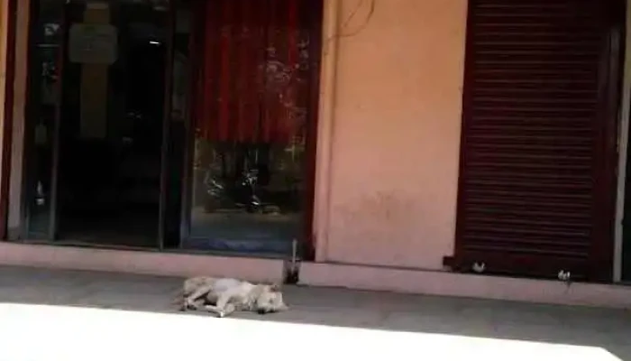 பஞ்சாப் நேஷனல் வங்கி - Talegaon Dabhade, தலேகோன் டபாடே