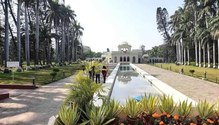 பின்ஜோரே - பின்ஜோரே