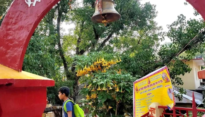 பீமேஷ்வர் இந்து டெம்பிள் - Daa