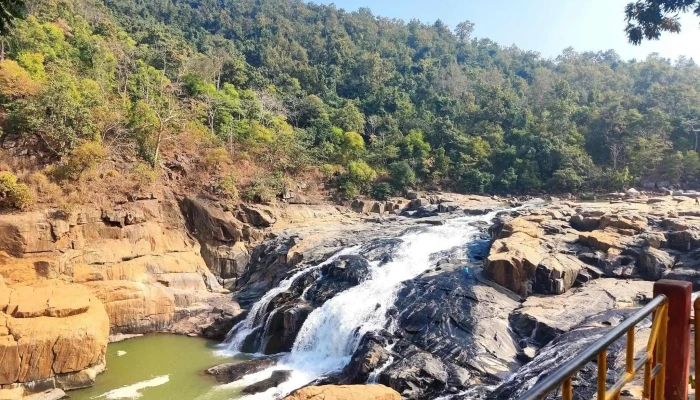 புதுடி வாட்டர்பால் - Sesakera