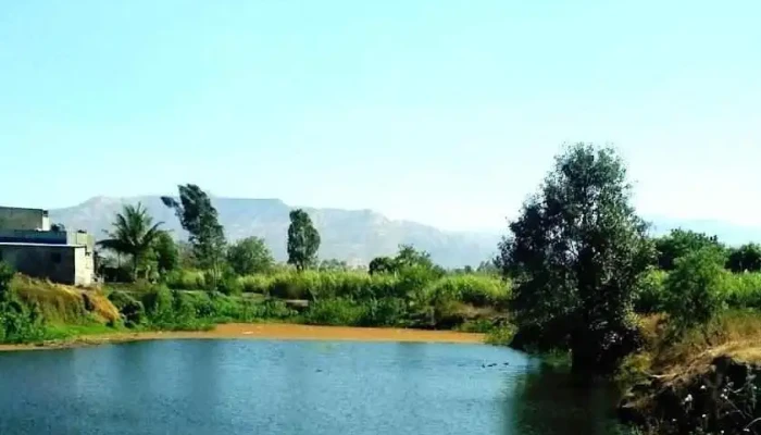 போர் - போர்