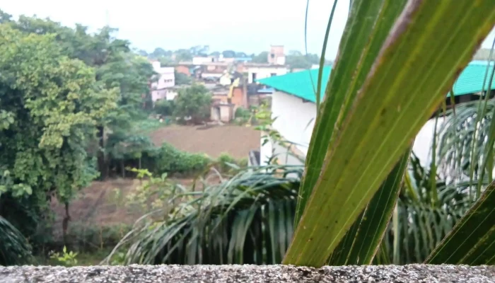 ப்ஹுல்முதி - Phulamuthi