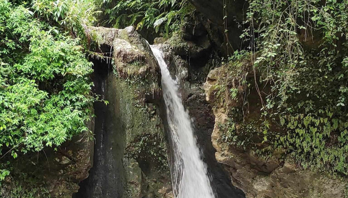 மோசி பால்ஸ் - Barlow Ganj