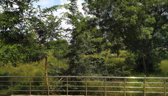 வில்ப் டிவிஷன், பிட்ஸ் பிலானி - Rana Pratap Marg