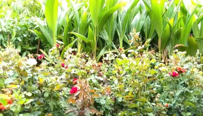 வைஜாபூர் - வைஜாபூர்