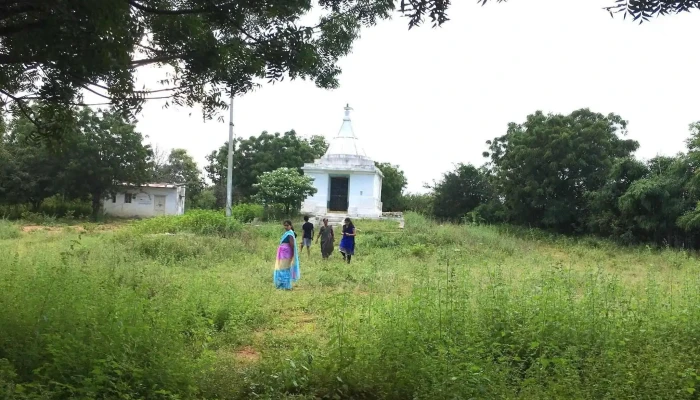 ஶ்ரீ லக்ஷ்மி நாராயண சாமி டெம்பிள் - Bhuvanagiri