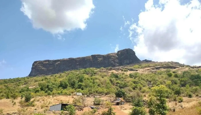 ஹரிஹர் போர்ட் - ஹர்ஷேவடி
